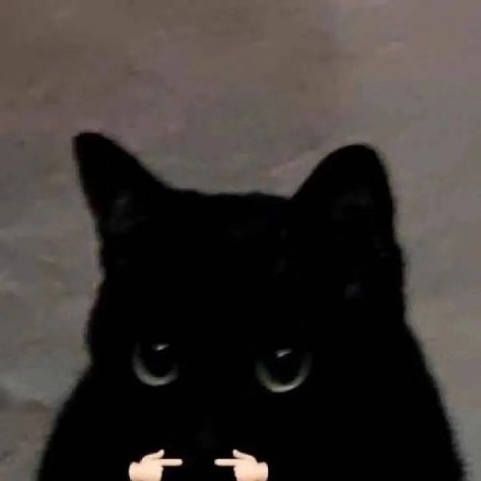 铲屎官集合！超萌猫猫狗狗揣手手表情包来啦