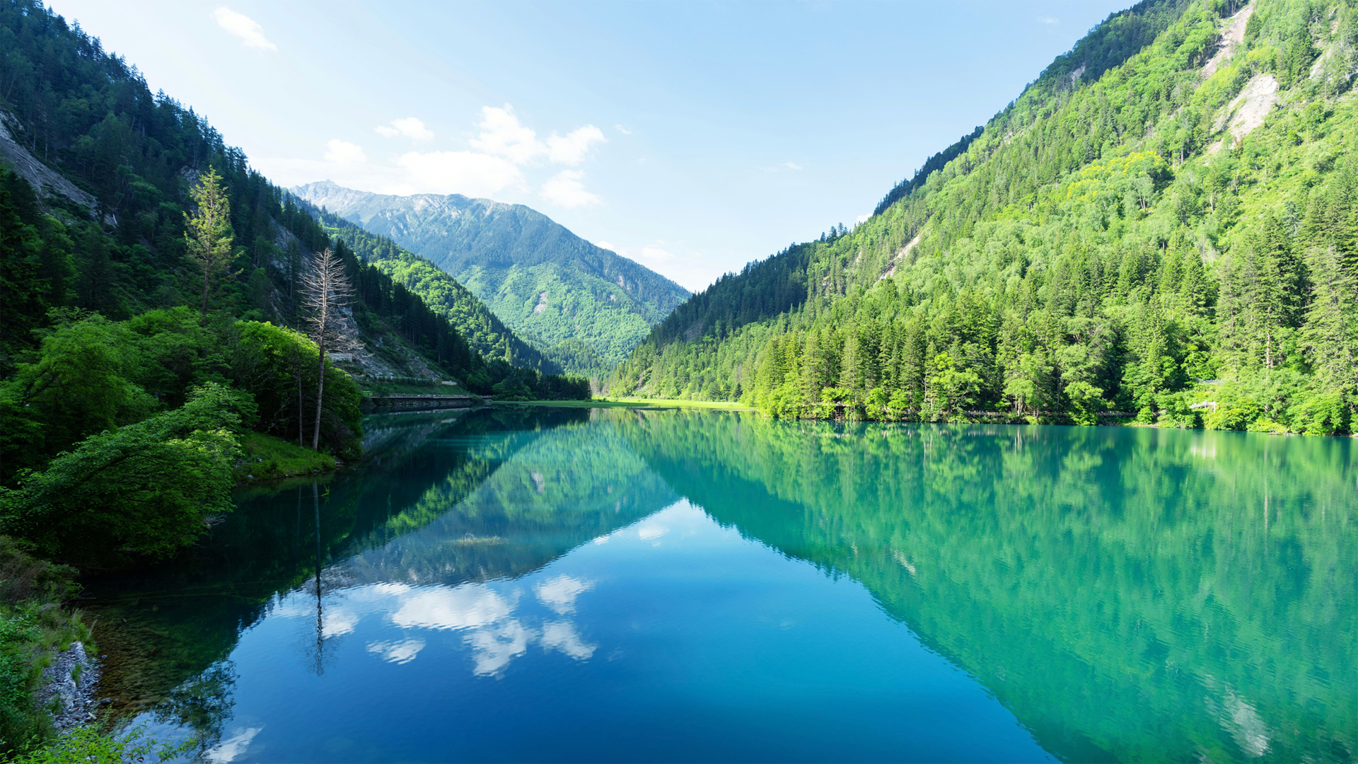 河流树林山水倒影 多款高清电脑桌面壁纸任你选