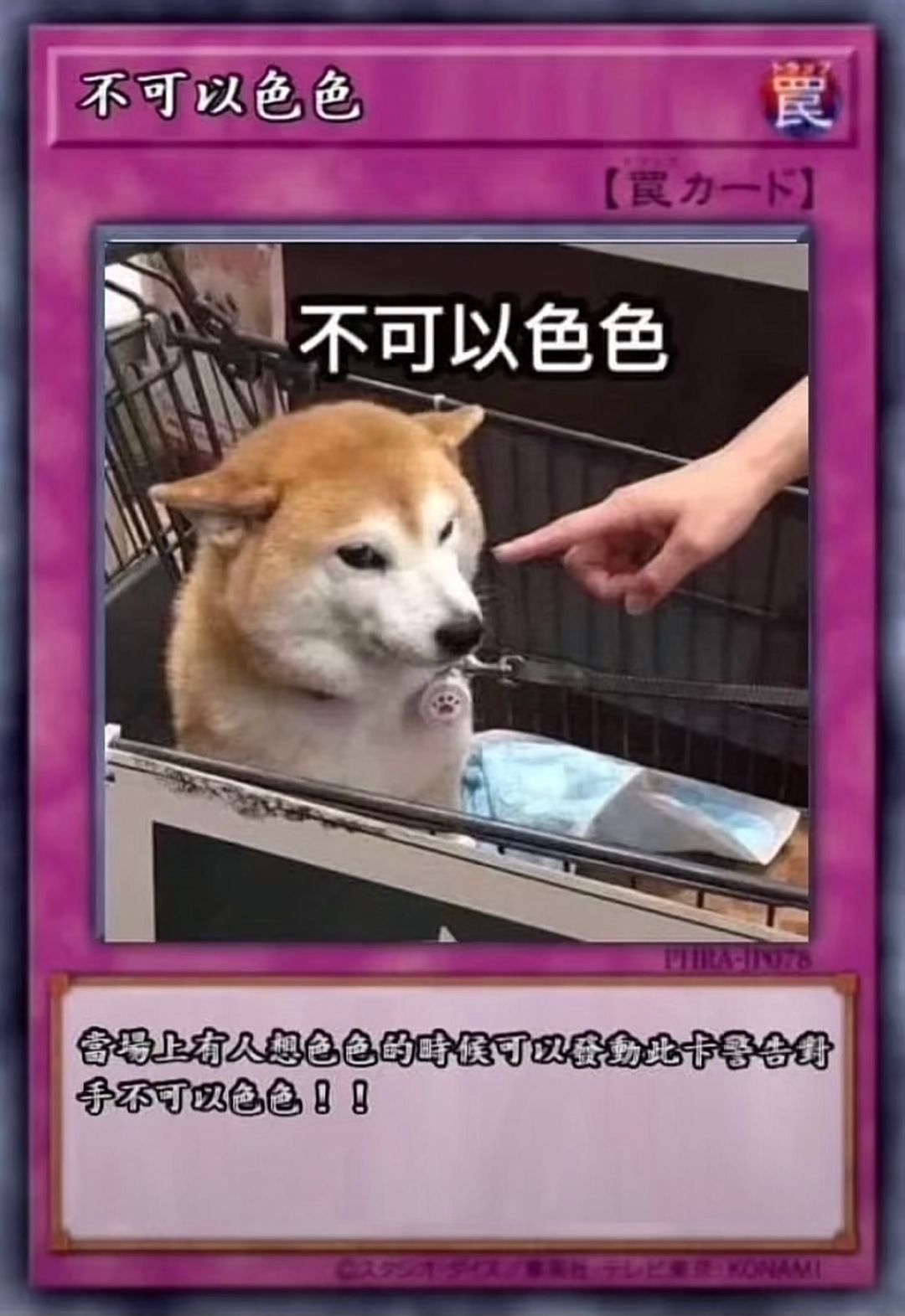 狗狗主题卡牌表情包合集