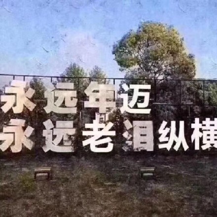 6月7日斗图表情包合集，聊天尬聊救星来了