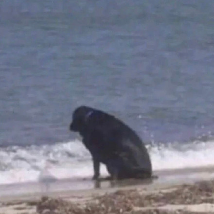 聊天斗图必备！无字表情包合集来啦