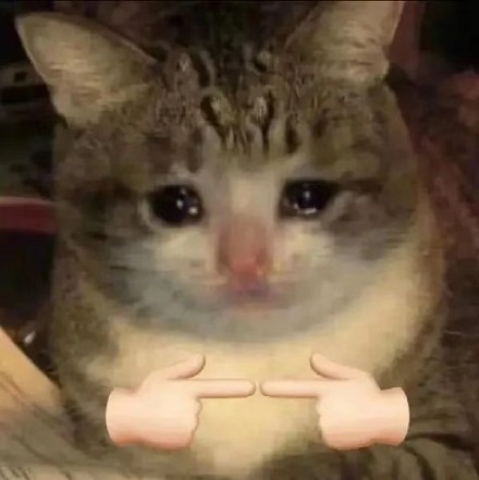 铲屎官集合！超萌猫猫狗狗揣手手表情包来啦