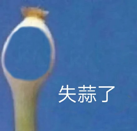 这套蒜头沙雕表情包，斗图时用简直绝了