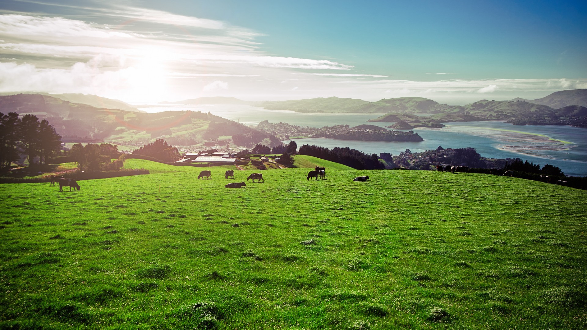 治愈系自然风景！带牛群的草甸河流电脑动漫壁纸推荐