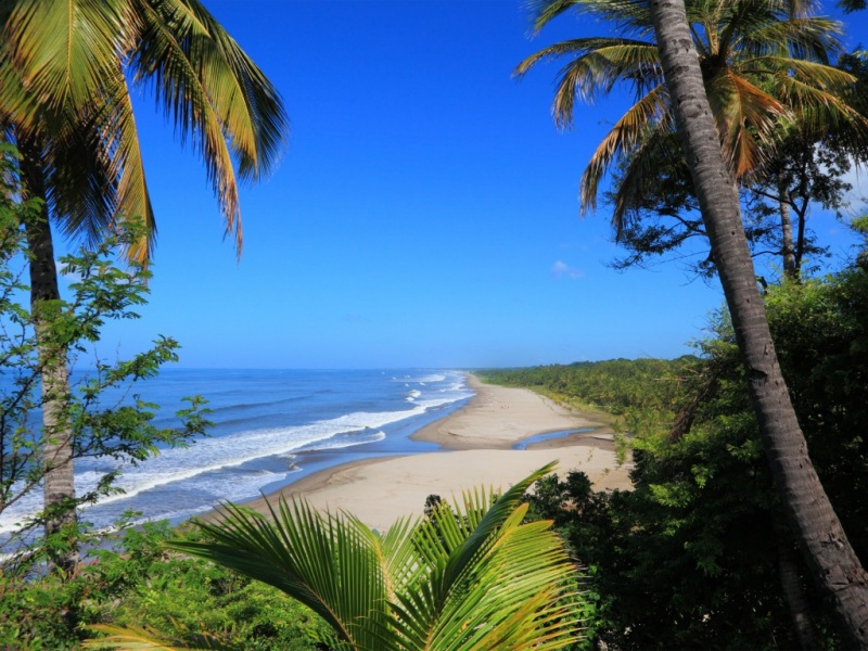 氛围感拉满！热带海边风景电脑动漫壁纸合集