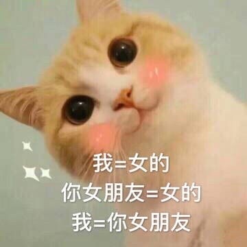 那就这样说好啦，我就是你女朋友啦 撩妹套路表情包合集
