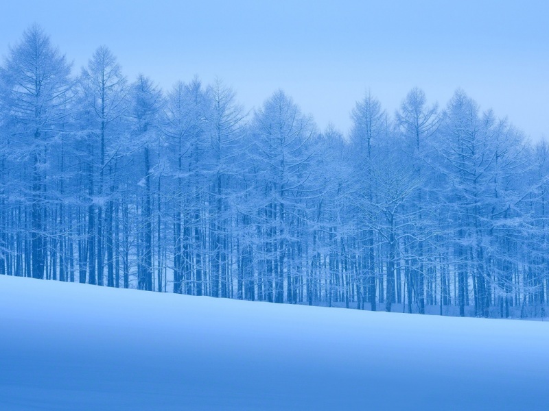 冬日林海雪原绝美雪景 适配电脑的高清动漫风景壁纸