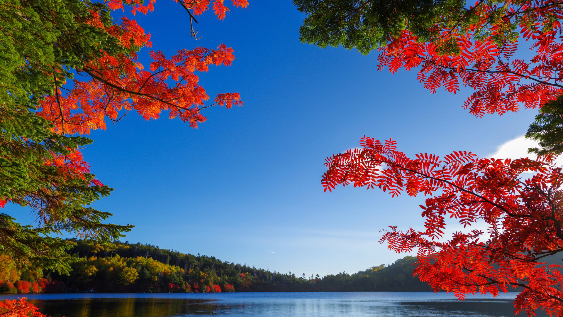 秋日湖景风景电脑壁纸推荐