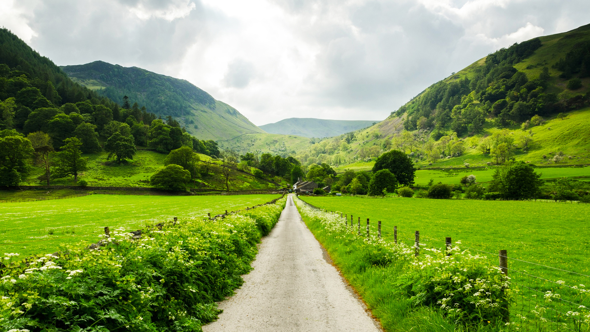春天氛围感拉满！这款带山和小屋的护眼草地壁纸太治愈了