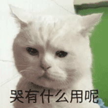 聊天必备！哭泣表情包合集整理好了