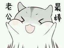 仓鼠撒娇表情包来啦！软萌仓鼠超会撩