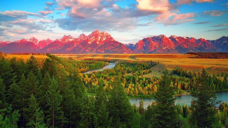 这款加州森林河景壁纸，适配你家所有尺寸电脑屏幕