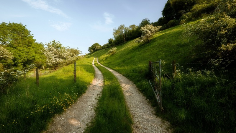 夏日郊野道路风景壁纸