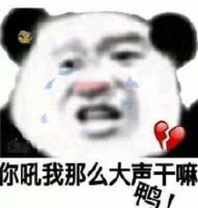 超火的熊猫头沙雕斗图表情包合集