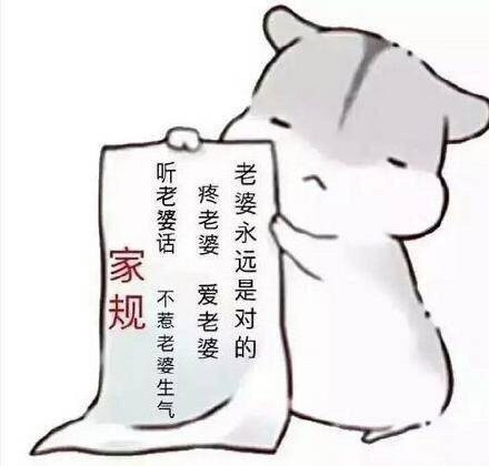 给老公们整理的专属爱老婆表情包合集