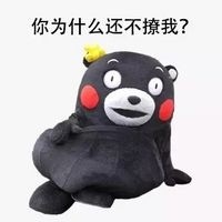 熊本熊撩人表情包合集来了