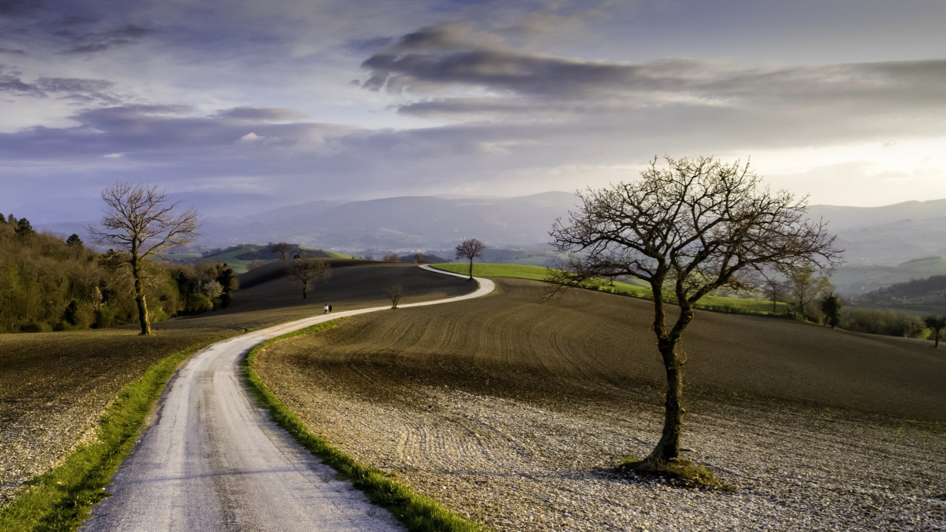 氛围感拉满！乡村农场道路树景电脑动漫壁纸