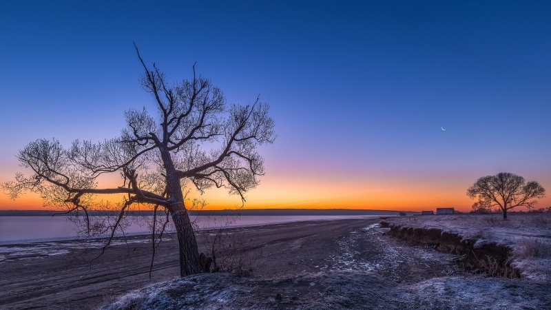 冬日落日树木天空电脑壁纸