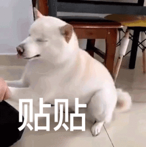 聊天斗图不用愁！这套实用动图表情包直接存