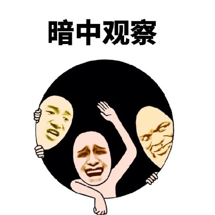 斗图常备表情：暗中观察