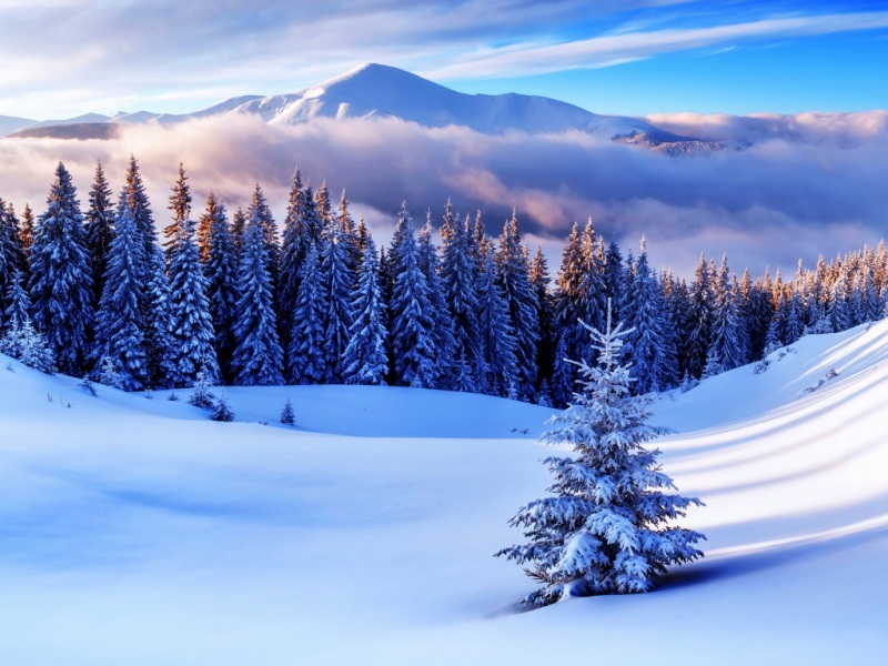 冬日林海雪原 多款高清雪山风景电脑桌面壁纸来了
