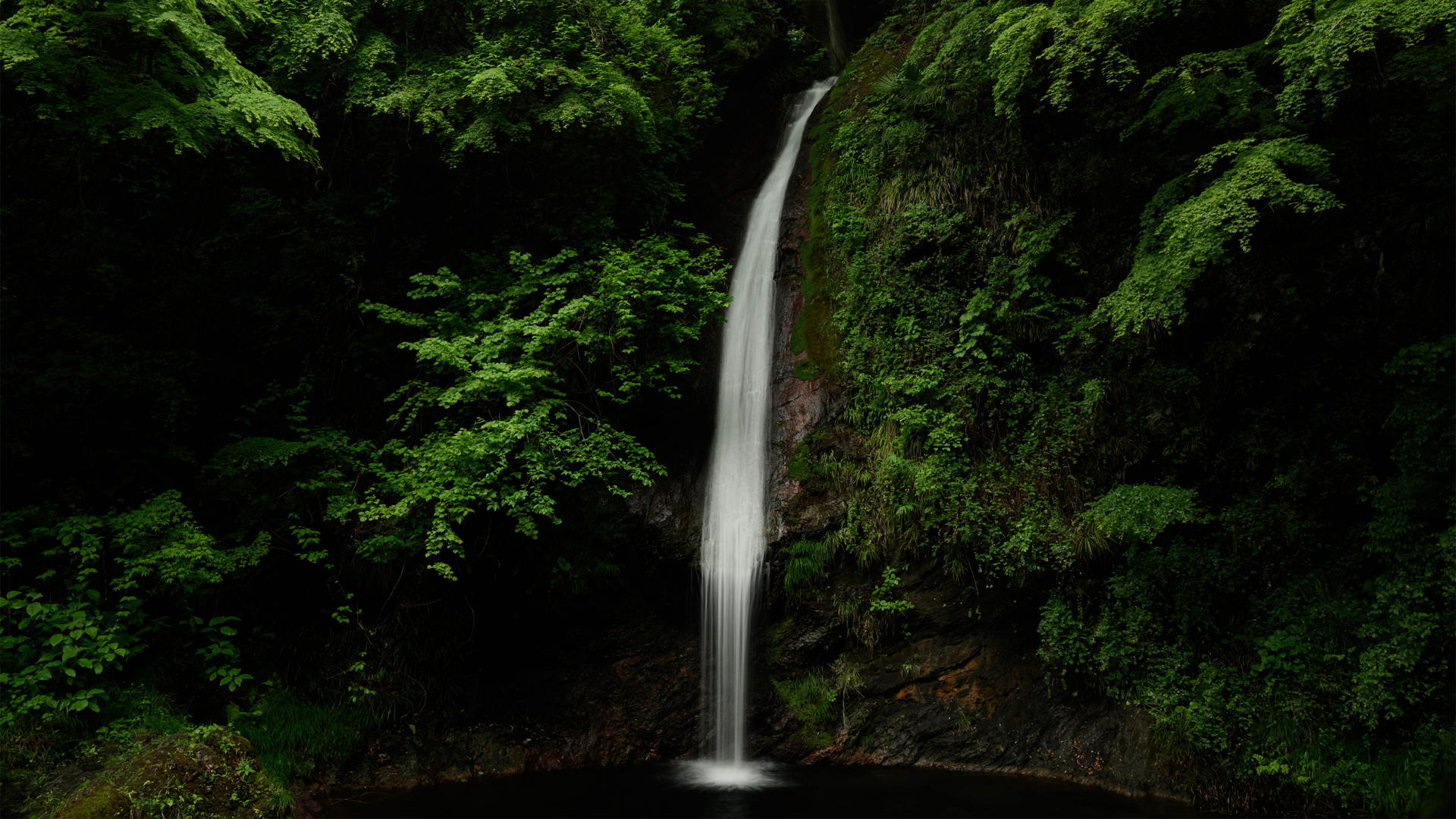 森林小溪瀑布护眼风景 多款尺寸电脑壁纸任你挑