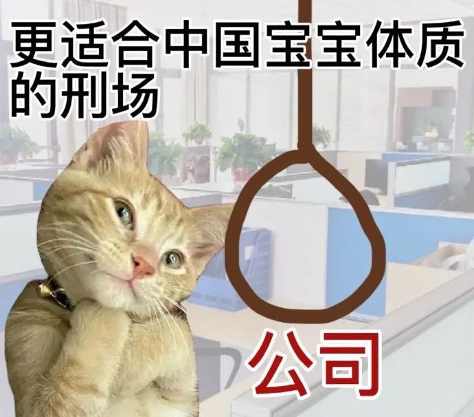 专为中国网友定制的“适配中国宝宝体质”表情包合集