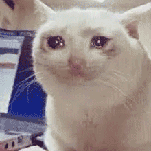 聊天必备！哭泣表情包合集整理好了