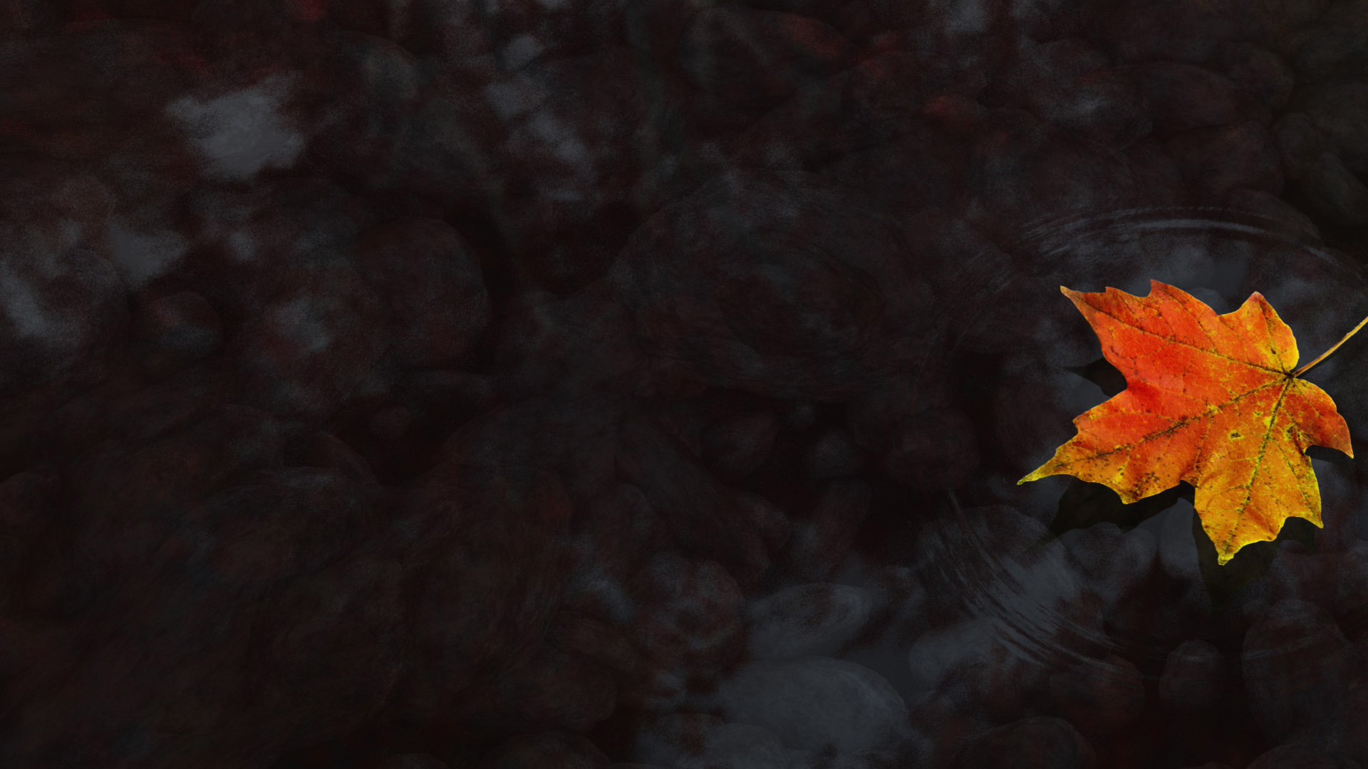 秋日枫叶水景桌面壁纸合集