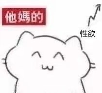 超实用肥肥猫猫斗图表情包合集