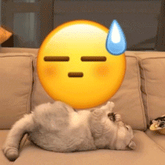 小猫咪踹小黄脸表情包合集