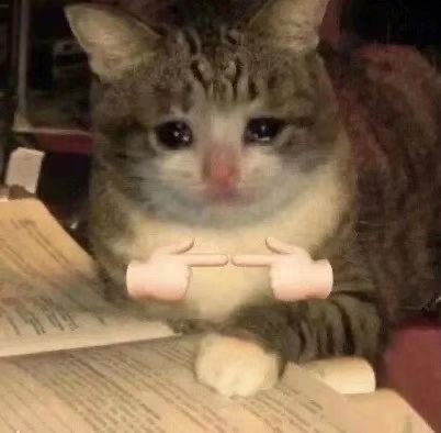 铲屎官集合！超萌猫猫狗狗揣手手表情包来啦