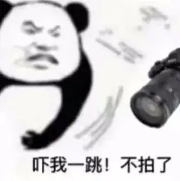 熊猫头拍照摔相机 超火斗图表情包来啦