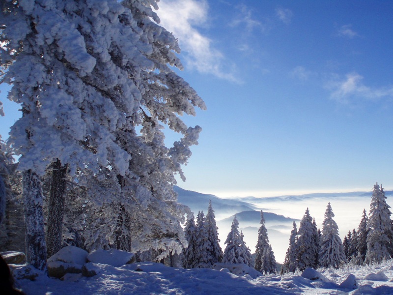冬日山川森林雪景壁纸合集