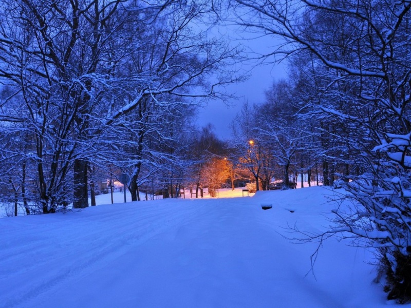 冬日夜晚公路灯光 氛围感风景壁纸合集