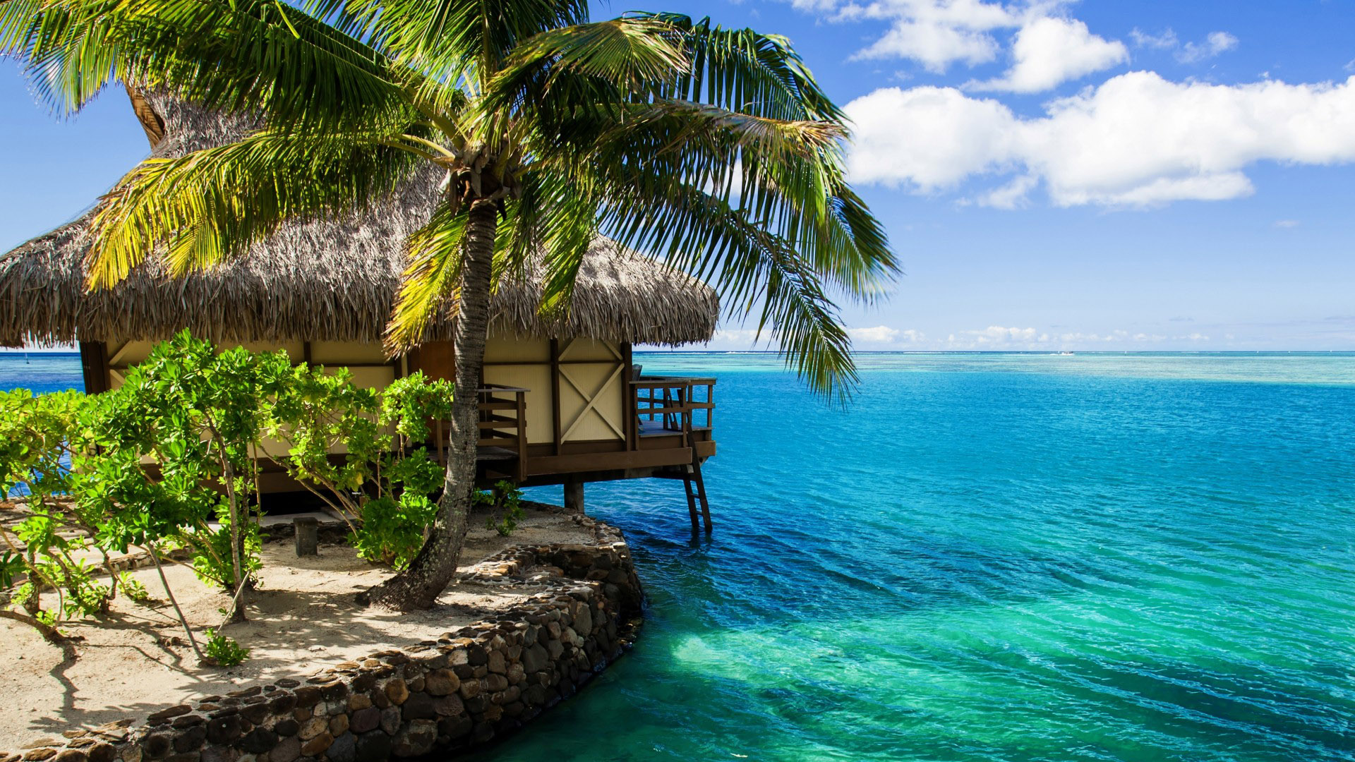 马尔代夫海边平房配绿树的高清壁纸推荐