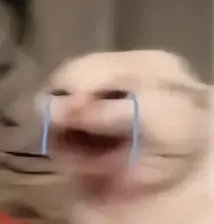 聊天斗图没文字？这款无字表情包合集超好用