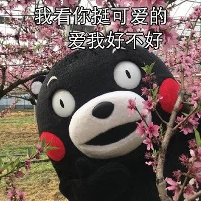 这套尬聊表情包绝了，之前见过的都不算啥