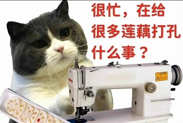 这套猫猫很忙表情包，梗点笑到打鸣