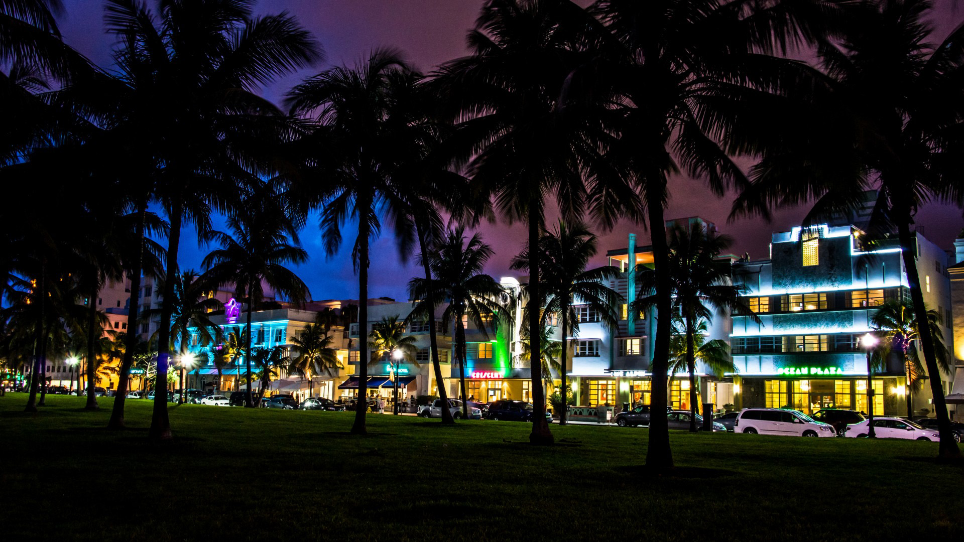 迈阿密南海滩夜景动漫风电脑壁纸上新啦