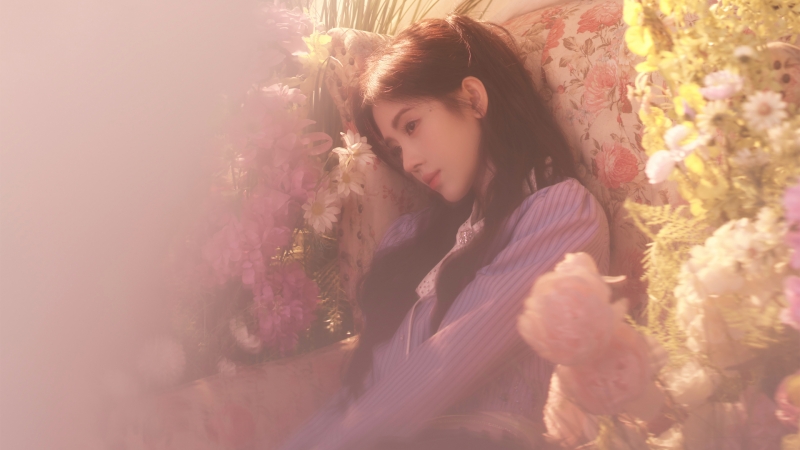鞠婧祎鲜花唯美桌面壁纸上新 多款高清尺寸可选