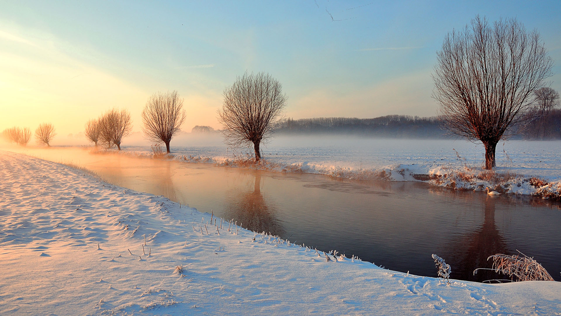 冬日雪景小河电脑壁纸 氛围感拉满的治愈桌面背景