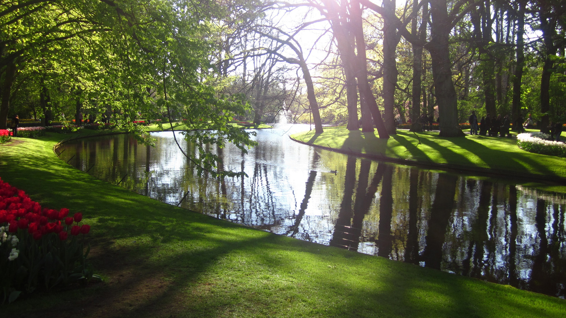 这款绿意盎然的公园风景电脑壁纸太治愈了