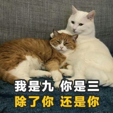 整理好的土味情话表情包合集，撩妹撩汉都能用