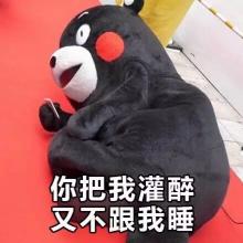 熊本熊恋爱聊天表情包合集