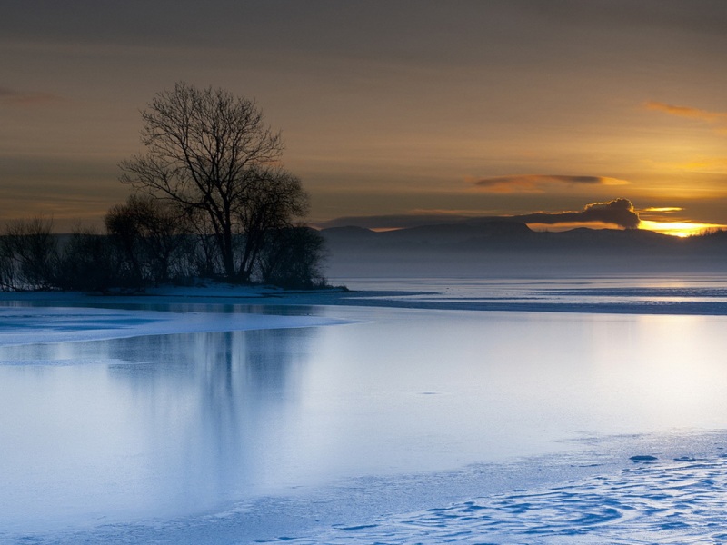 湖树日落氛围感拉满！这款宽屏动漫壁纸太适合当桌面了