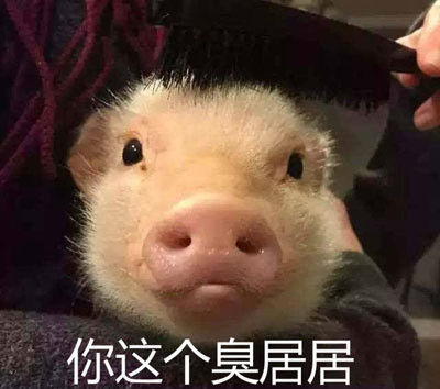 你就说，你是不是居吧？？