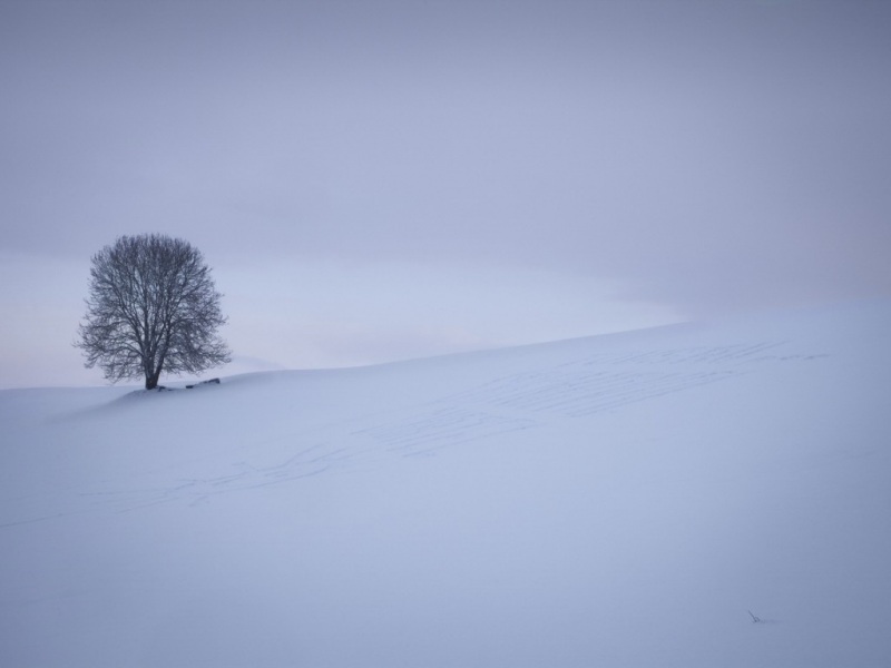 冬日极简雪景电脑壁纸