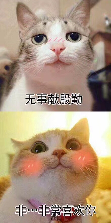 收藏这套撩人情话表情包，脱单只差这一步啦