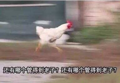 高考结束啦！这套「溜去浪」表情包刚好适配你的心情